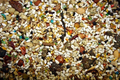 15 lbs ABBA 1300 Safflower Seed LG Hookbill