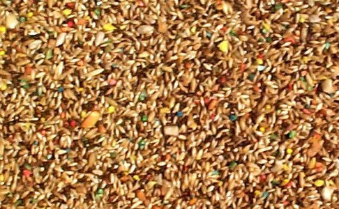30 lbs ABBA 1700 Canary Seed Bulk