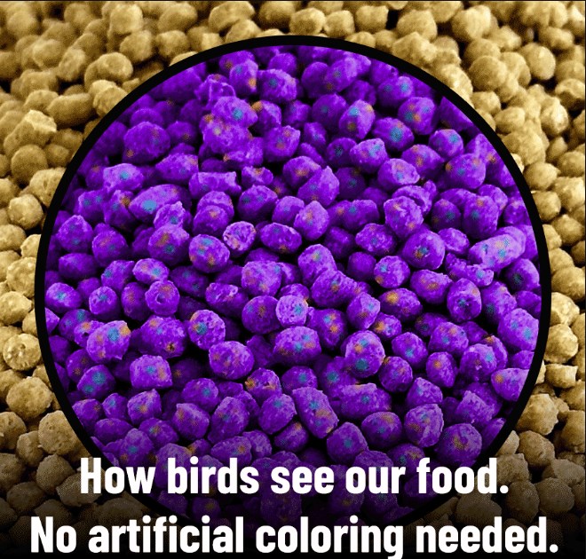 5 lbs Harrisons High Potency Fine