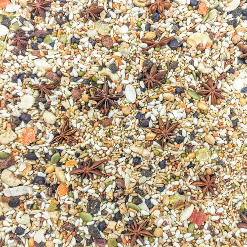 3 lb. Higgens Mayan Harvest Yucatan Blend Small Hookbill
