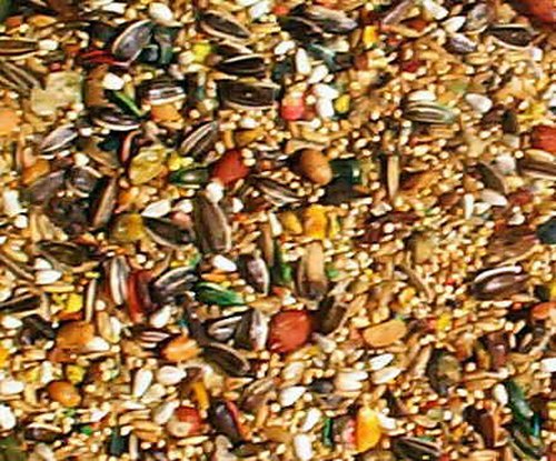 thumbnail interactive-video image 1 of ABBA 30 Lb Bulk Bag Cockatiel Seed – #30LB1600C, Made In USA 1 of 5