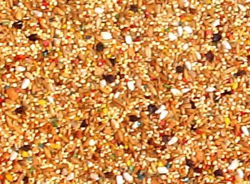 47 lbs ABBA 1600 Parakeet and Lovebird Seed