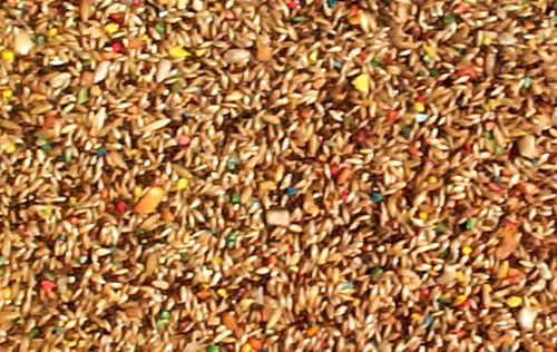 5 lbs ABBA 1700 Canary Seed Bulk