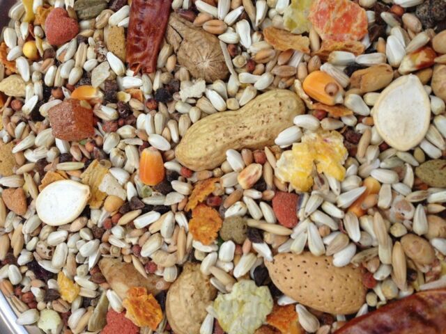 25 lbs Higgins Safflower Gold Natural Parrot