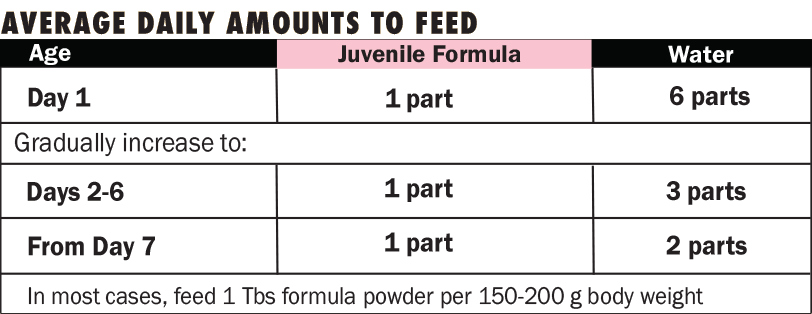 Harrisons Juvenile Formula 5lb bag